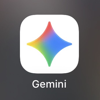 （仅质保首登）GeminiPro12 个月成品